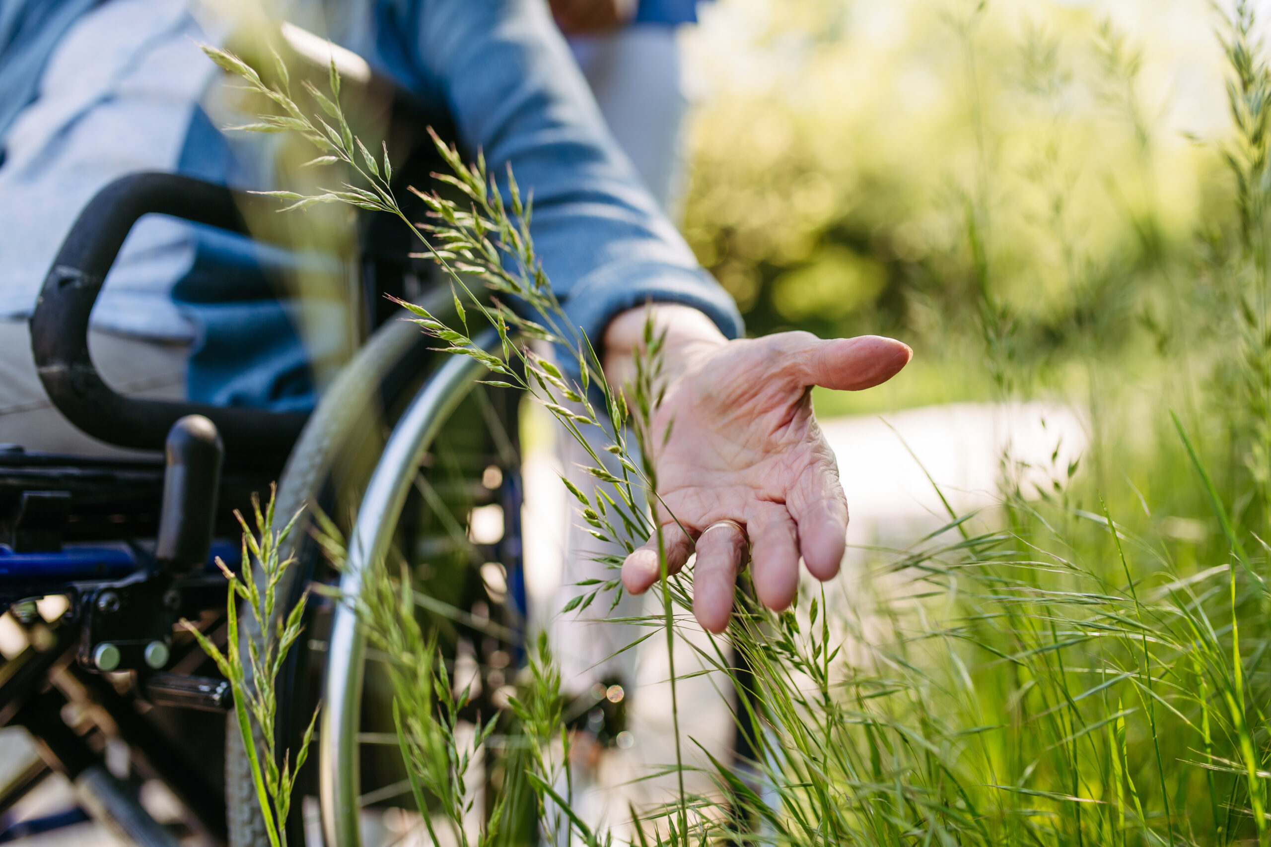 elder in wheelchair touching grass